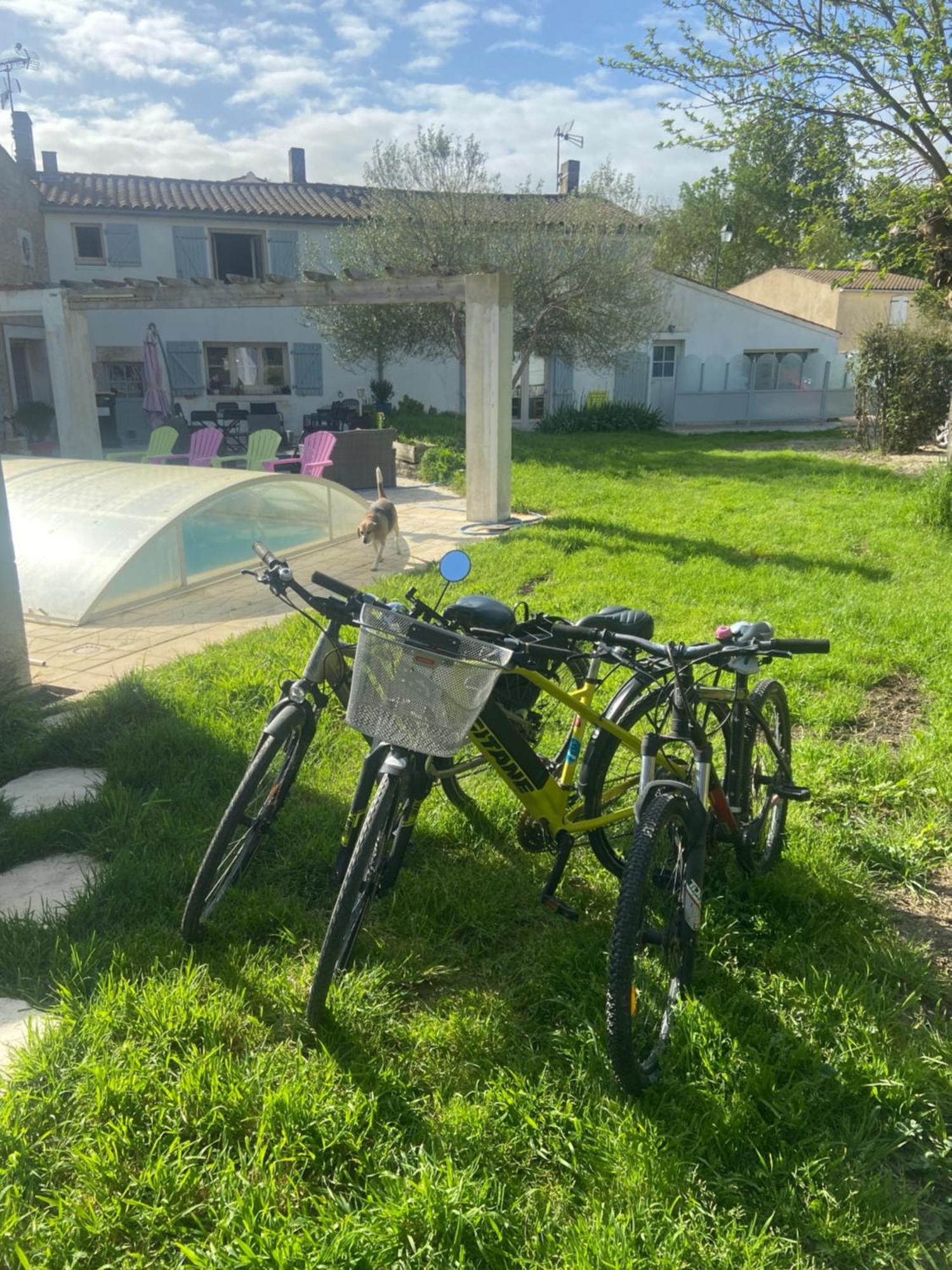 Petit Appartement Saint-Xandre Kültér fotó